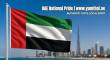 UAE Flag